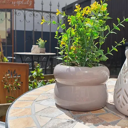 Apartmán Winterruhe Am Fuerst Pueckler Park-hund Willkommen, Sauna Im Haus,parkplatz Am Haus,hermmansbad, Geopark,polnischer Markt Bad Muskau