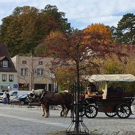 Winterruhe Am Fuerst Pueckler Park-hund Willkommen, Sauna Im Haus,parkplatz Am Haus,hermmansbad, Geopark,polnischer Markt Apartmán Bad Muskau