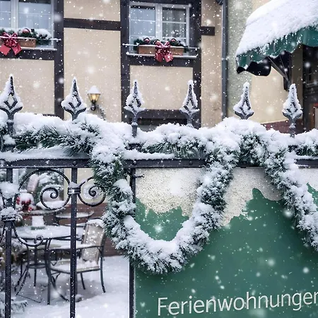 Winterruhe Am Fuerst Pueckler Park-hund Willkommen, Sauna Im Haus,parkplatz Am Haus,hermmansbad, Geopark,polnischer Markt *